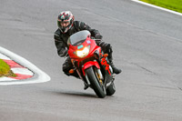 PJ-Motorsport-Photography-2020;anglesey;brands-hatch;cadwell-park;croft;donington-park;enduro-digital-images;event-digital-images;eventdigitalimages;mallory;no-limits;oulton-park;peter-wileman-photography;racing-digital-images;silverstone;snetterton;trackday-digital-images;trackday-photos;vmcc-banbury-run;welsh-2-day-enduro